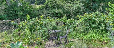 Restauration en plein air