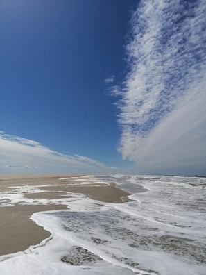Beach - Schöne Wohnung in Ruhiger Lage (Borkum)