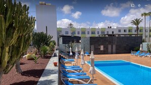 A pool area with blue lounge chairs and umbrellas, surrounded by cacti and palm trees.