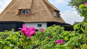 Apartment (Beach Lodge 8 OG) | Exterior - Beach Lodge 8 OG (St. Peter-Ording)