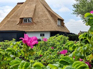 Apartment (Beach Lodge 8 OG) | Außenbereich