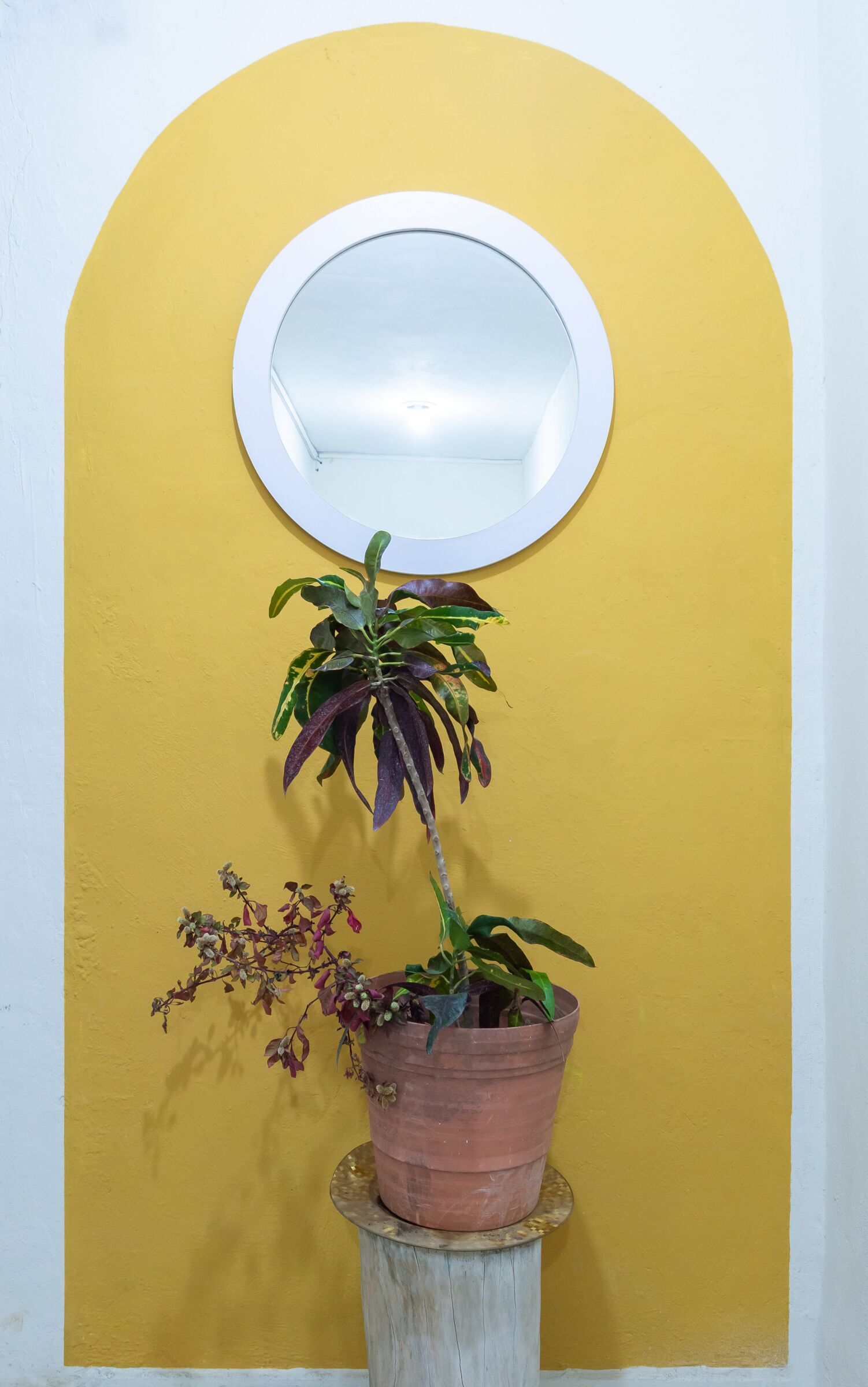 Foto - Jardín Mérida