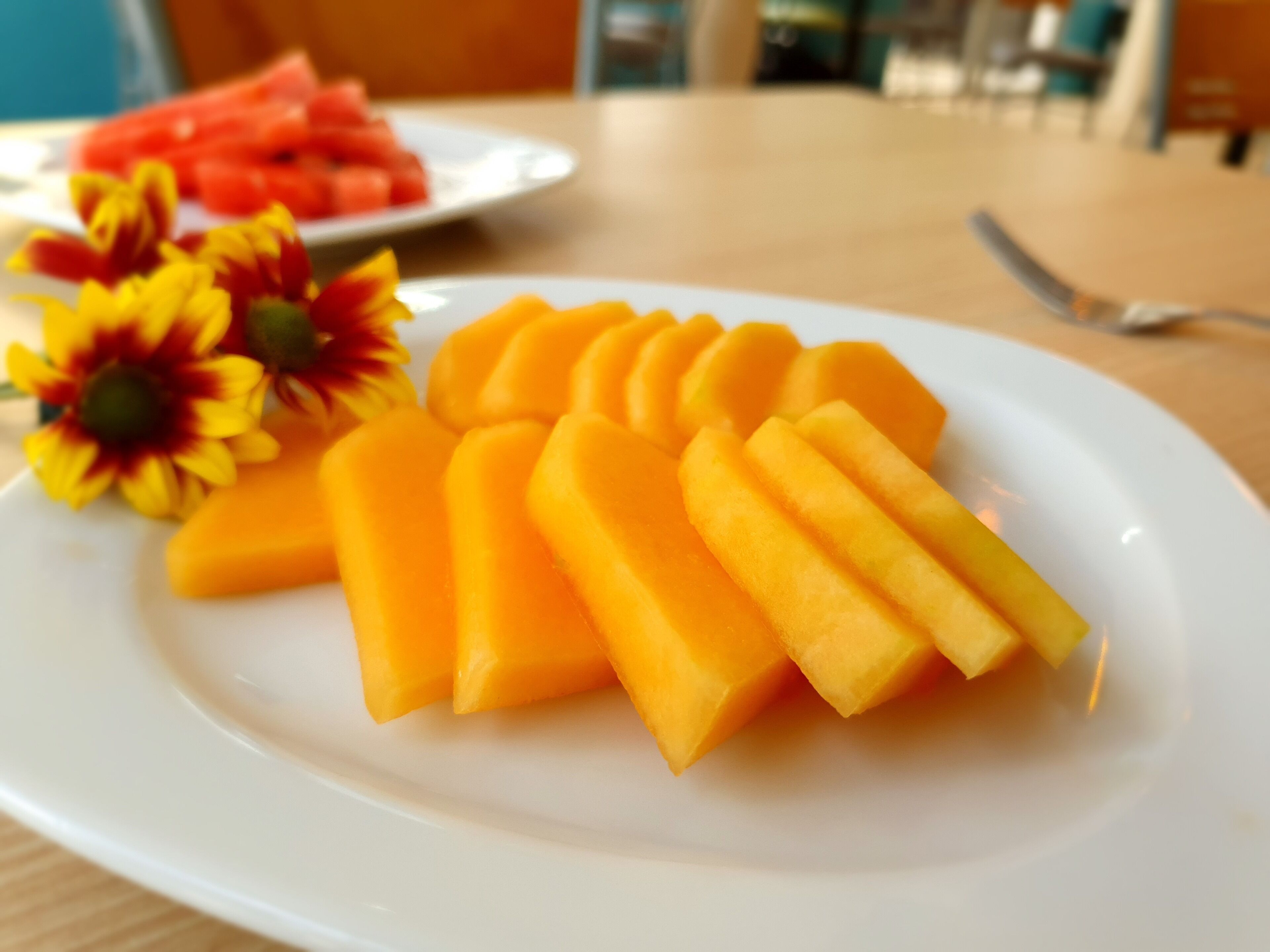 Foto - Jardín Mérida