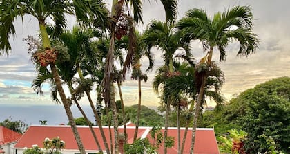 Beautiful Traditional Saba Cottage With all the Modern Amenities