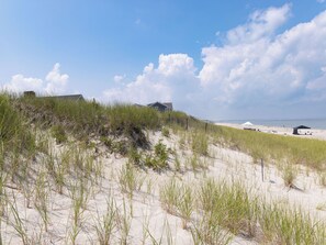 On the beach