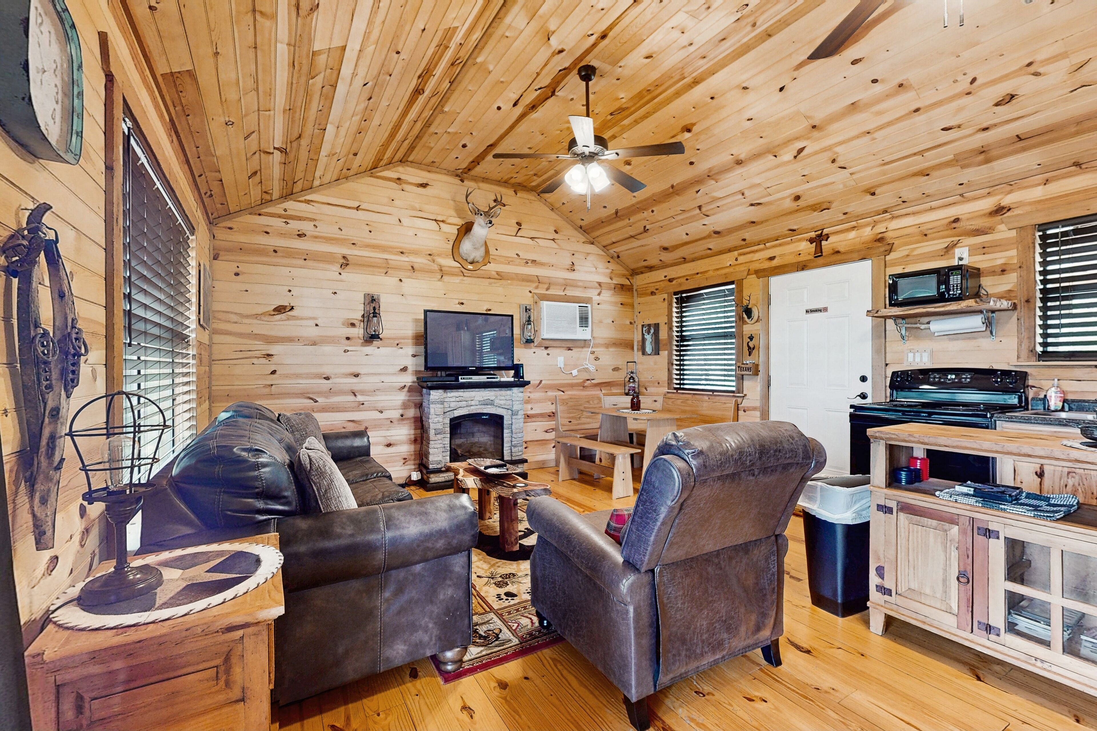 Fernseher, Kamin, DVD-Player