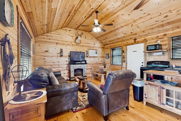 TV, fireplace, DVD player