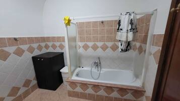 Combined shower/bathtub, bidet