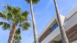 Un edificio moderno con techo plano, ventanas amplias y un estacionamiento con algunas palmeras.