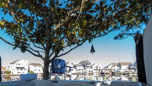 Una alberca con un árbol encima, rodeada de casas.