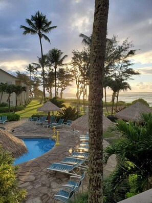 Pool - Islander on the Beach 245 Direct Oceanfront View (Kapaa)