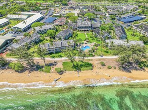 Beach nearby - Islander on the Beach 249 Direct Oceanfront Studio (Kapaa)