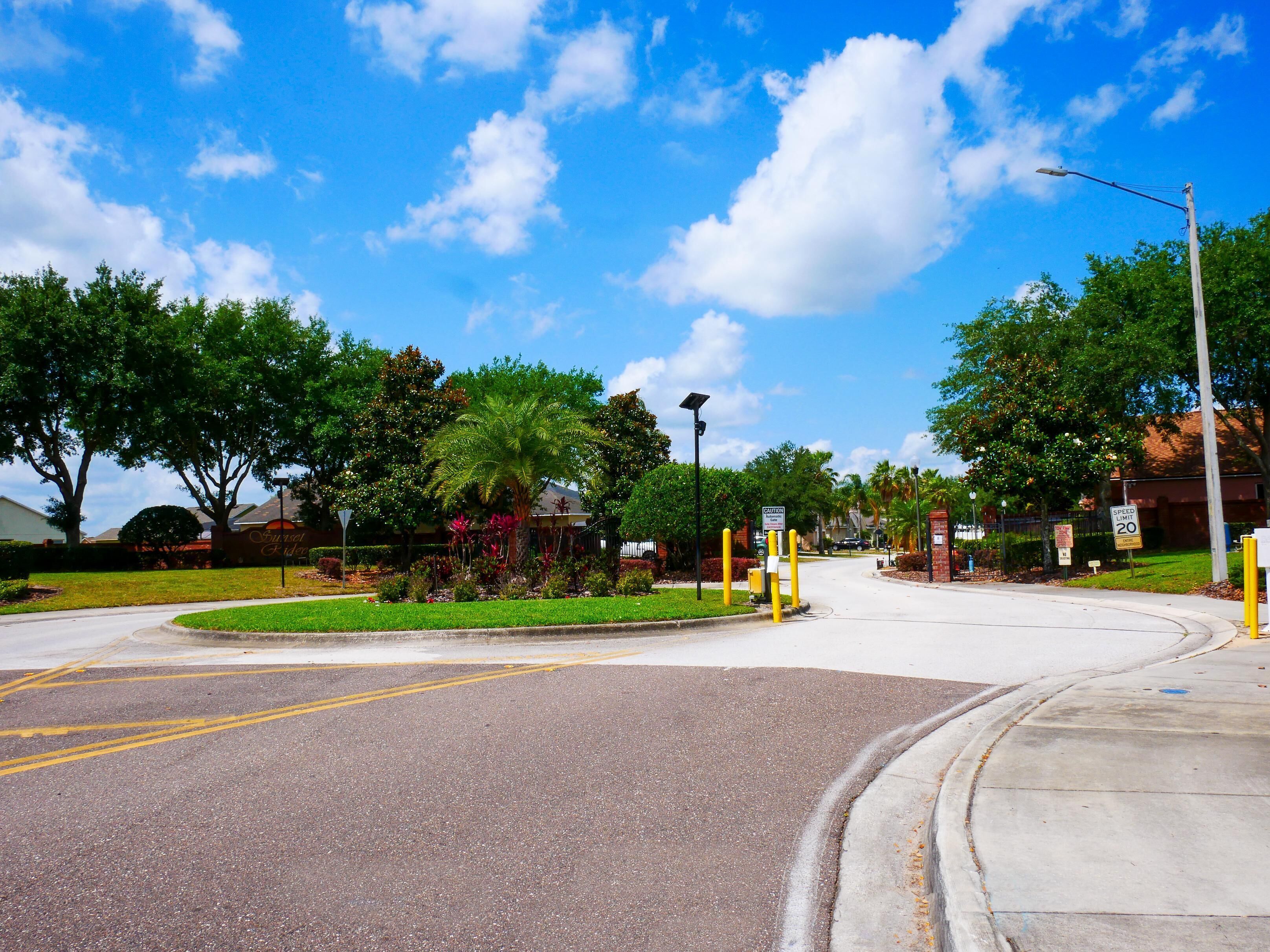 A street view with a speed limit sign of 20 mph, a pedestrian crossing, and a palm tree in the center.