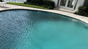 A clear, turquoise swimming pool with a curved edge, surrounded by a light-colored stone deck and a low hedge. - Studio- Sleep 4,Pool, Parking,5 min walk to Beach -4 (Fort Lauderdale)