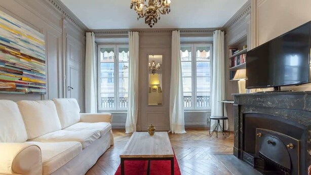 A living room with a sofa, a red rug, a fireplace, and a TV. - Colombe - Furnished apartment - Downtown Lyon (Lyon)