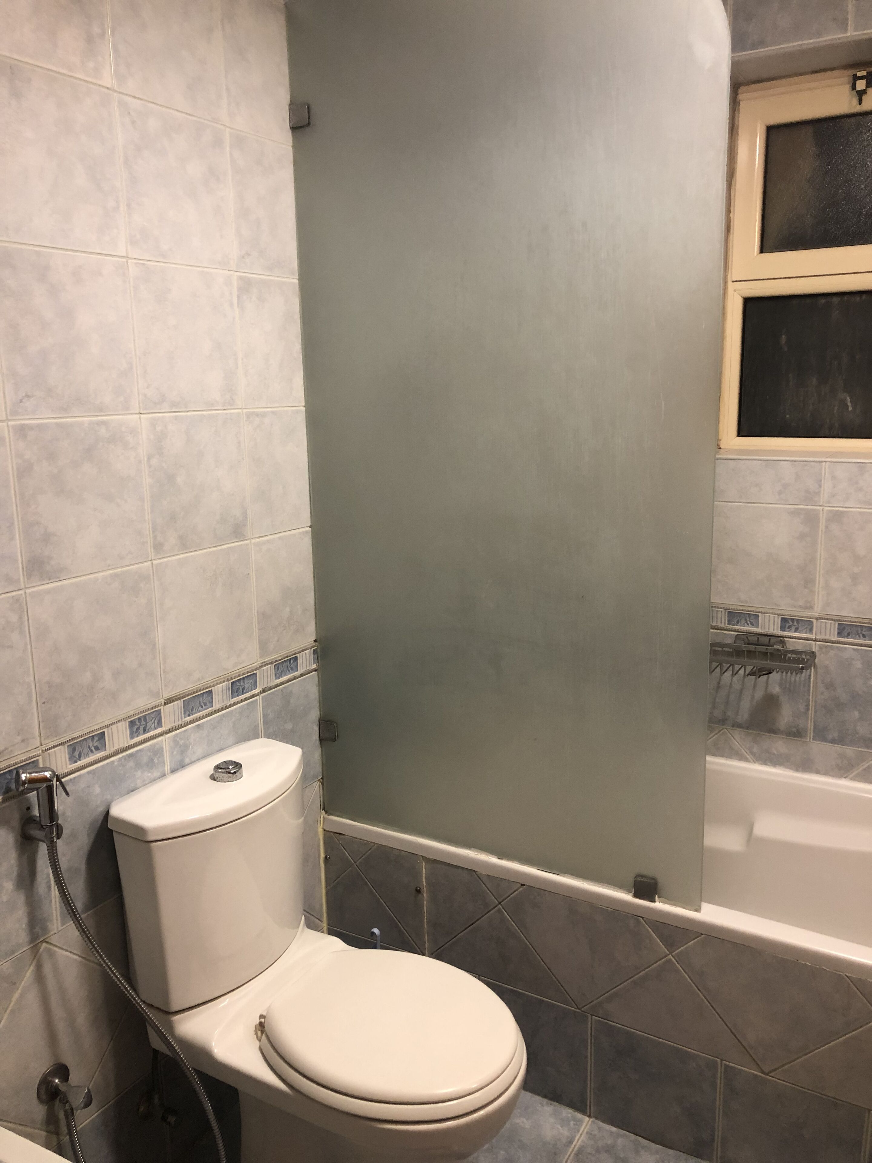 Shower, soap, toilet paper