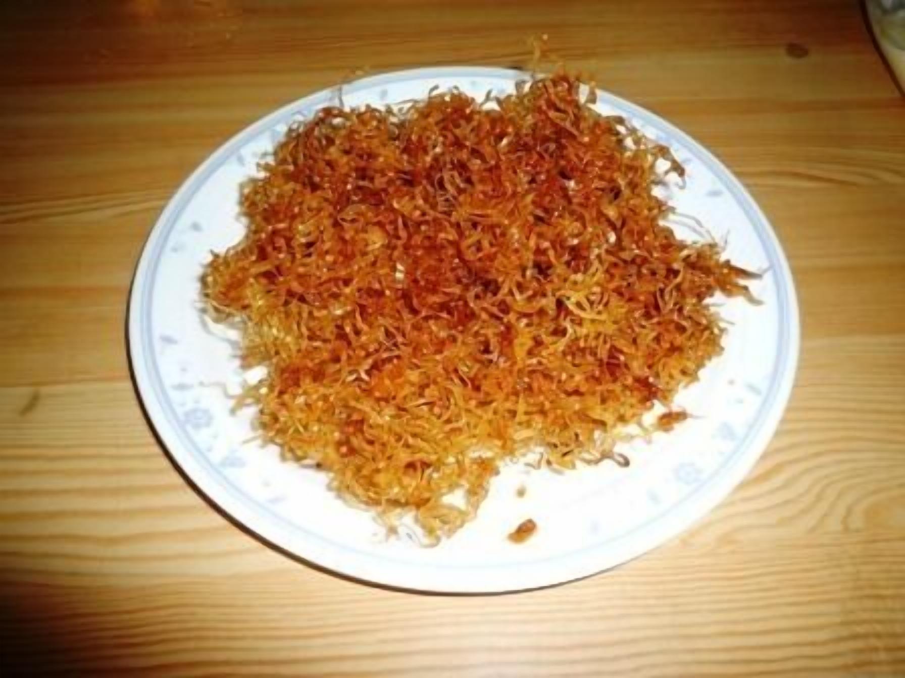 Essen und Trinken