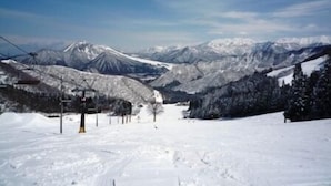 滑雪运动