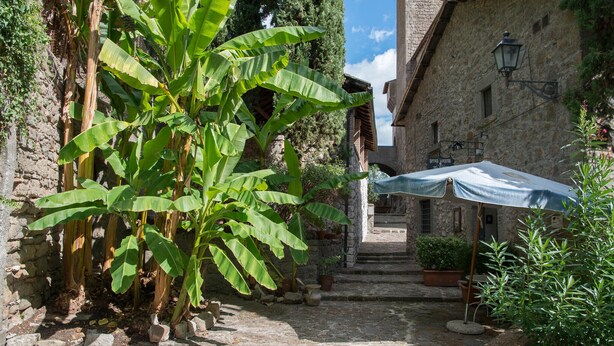 A narrow stone pathway flanked by lush banana plants and potted plants, leading to a rustic stone building with a covered outdoor seating area. - borgo antico resort diffuso (Bassano in Teverina)
