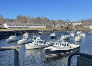 Jachthaven