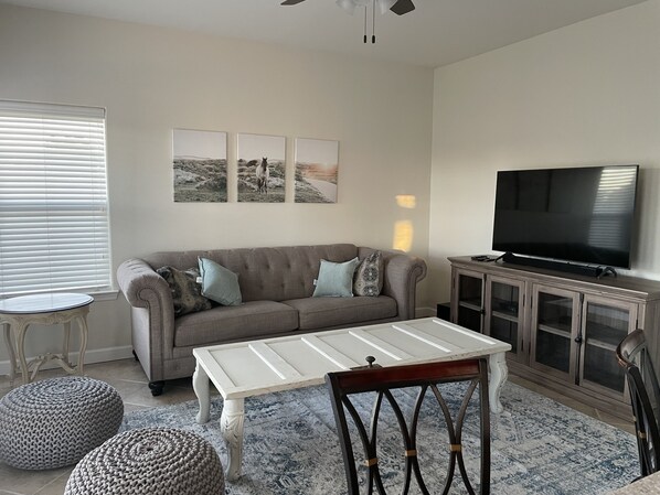 Smart TV, fireplace, DVD player, video library