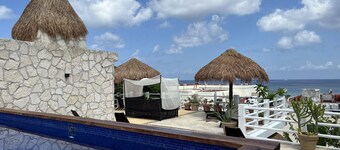 Beautiful suite near waterfront & walking distance to great dining.Pet friendly!