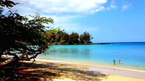 A beach with clear turquoise water, a sandy shore, and a tree providing shade.