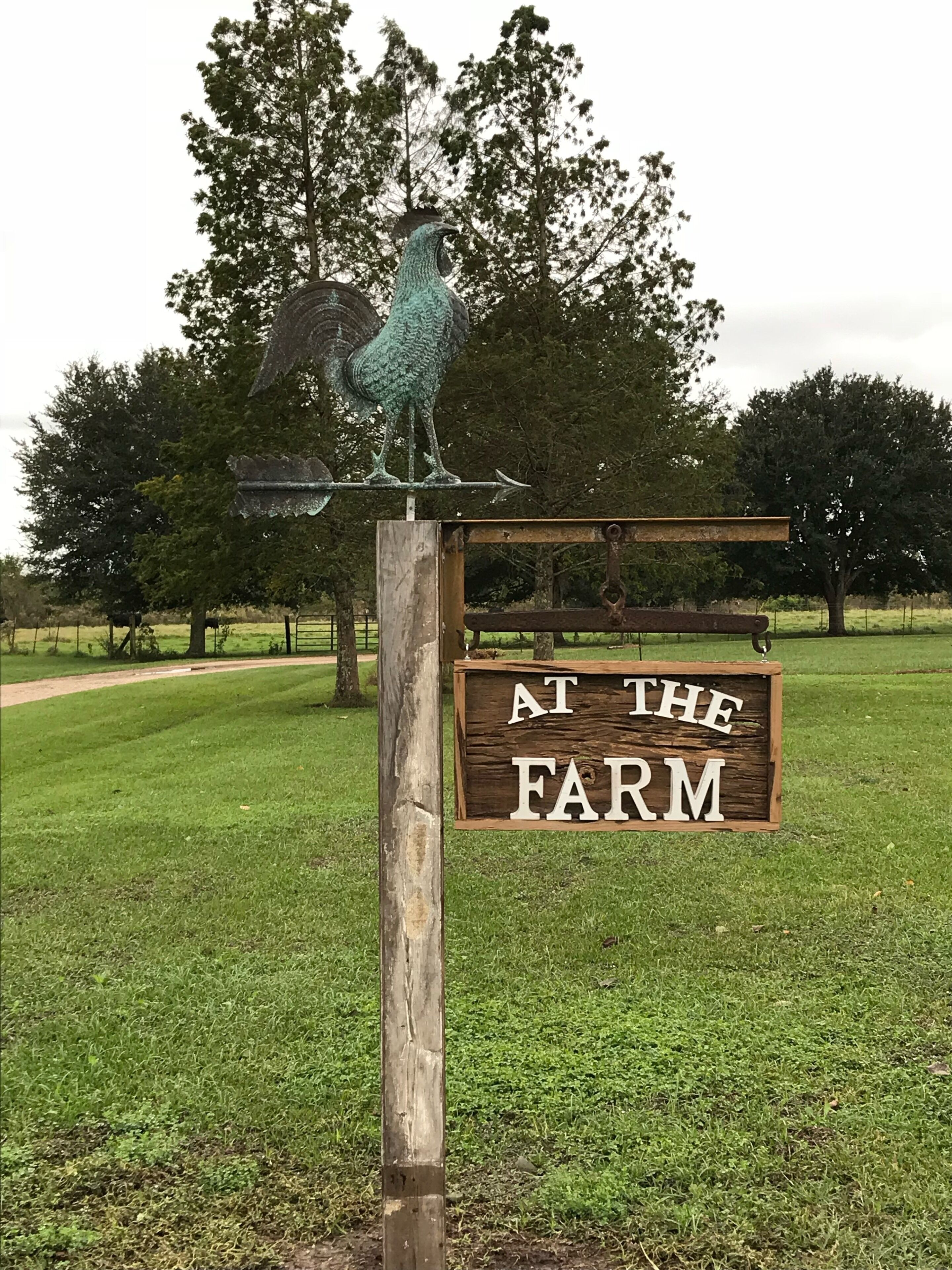 Breakfast and Country Setting, only 4 minutes from Town