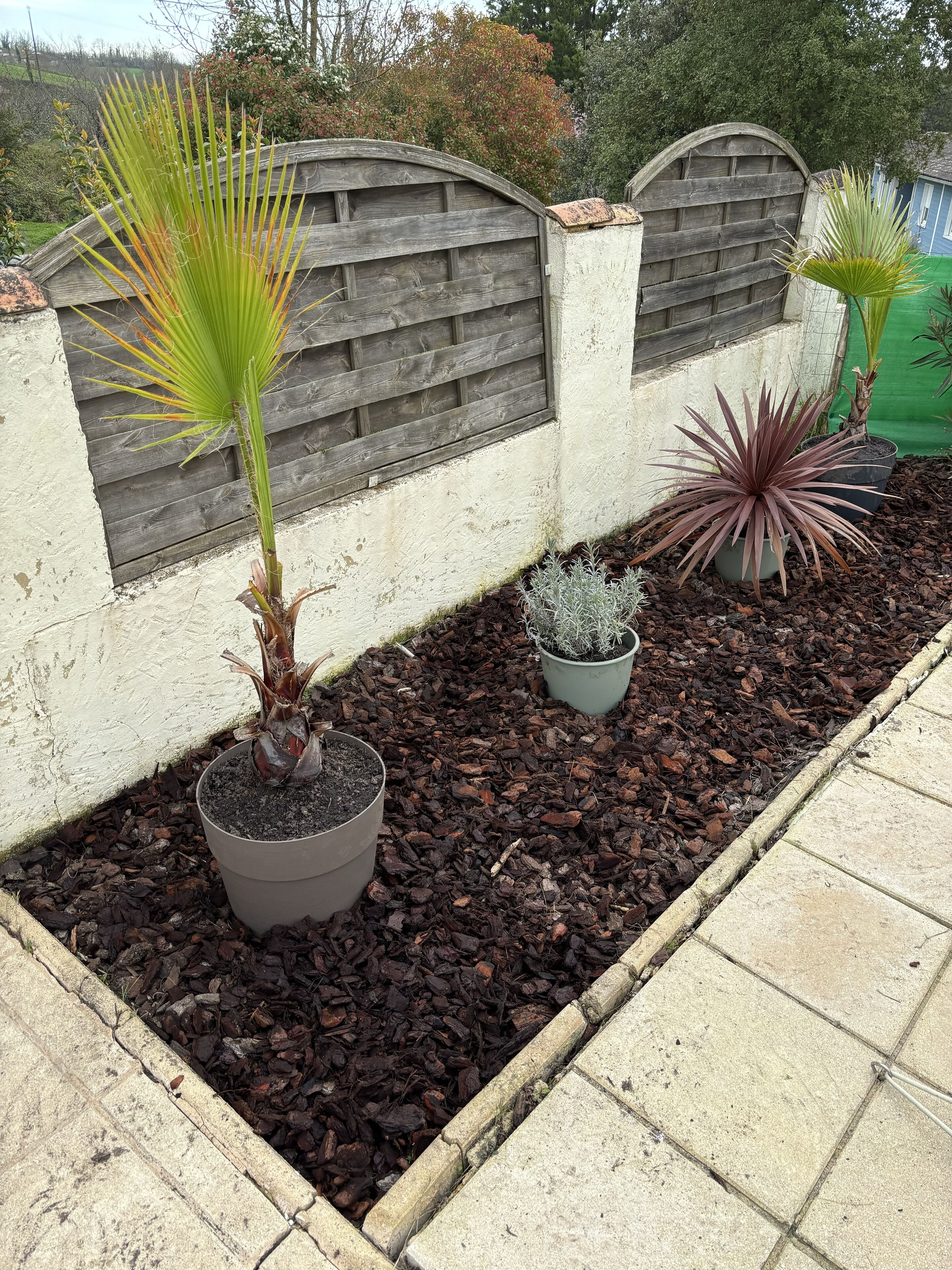 Overnatningsstedets område