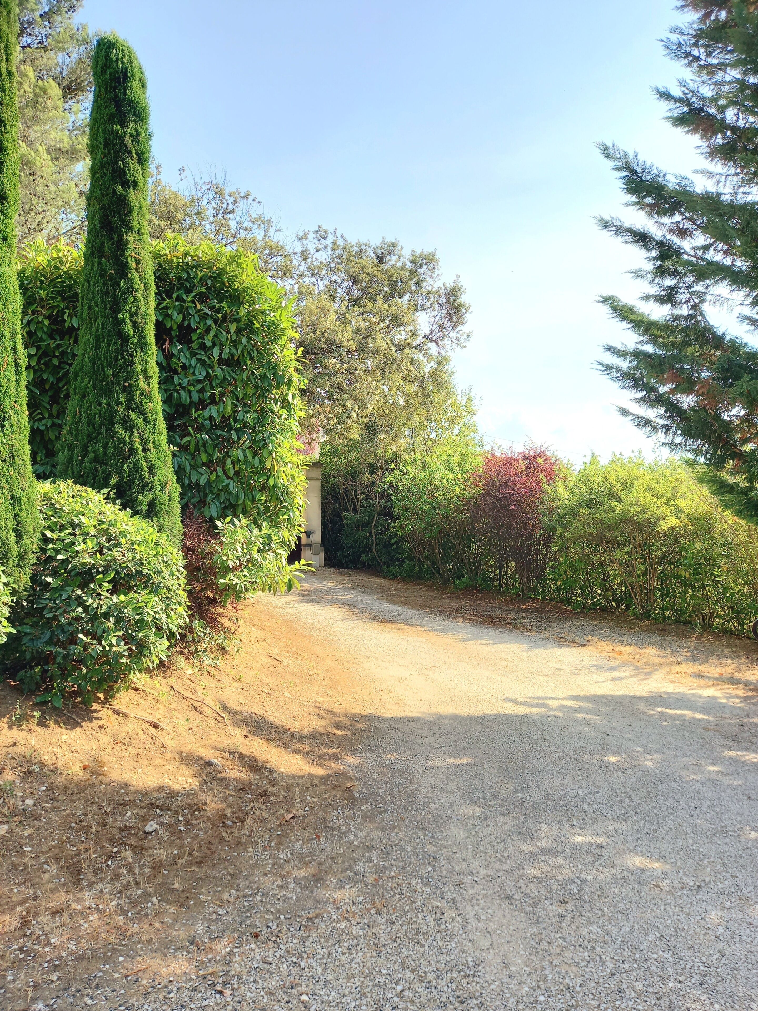 A gravel driveway leading to a building surrounded by well-maintained hedges and trees.