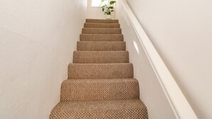 A staircase with a woven carpet design, leading to a room with a window and a potted plant. - 3 Mill Wynd (Darlington)