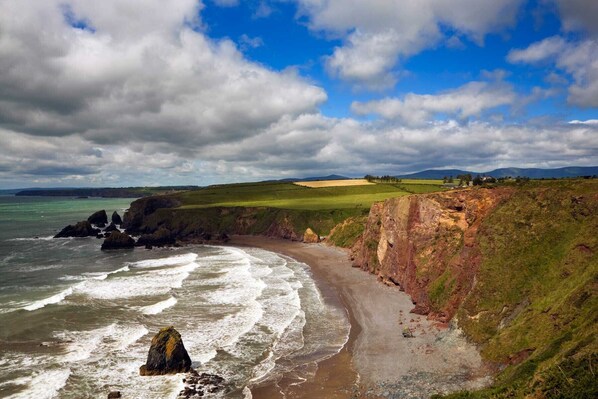 Interior detail - Bolton Mews Faithlegg (Faithlegg)
