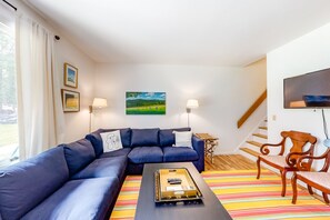 TV, fireplace, books