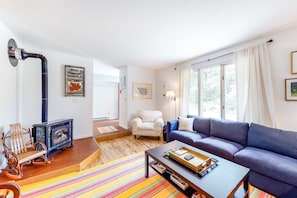 TV, fireplace, books