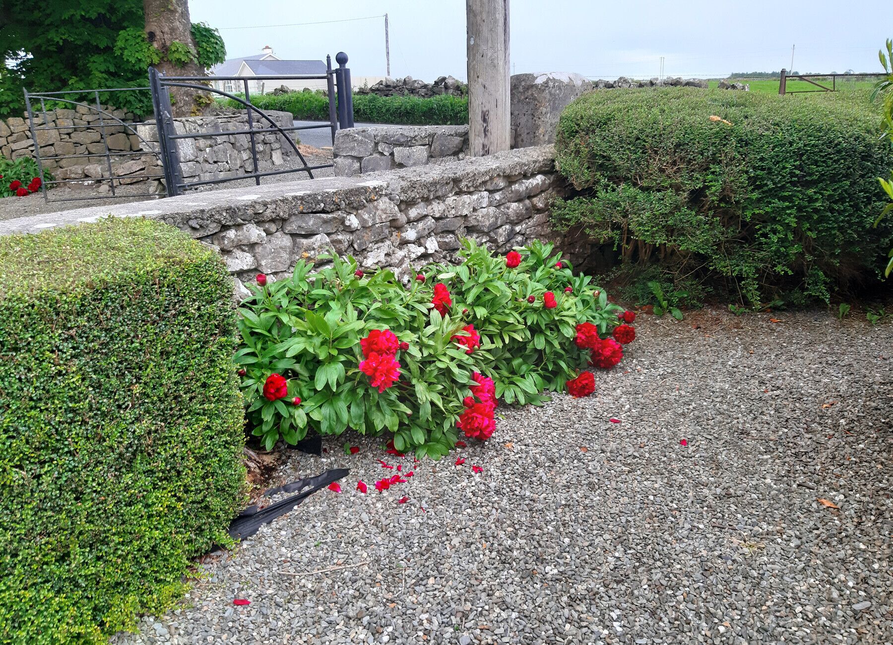 Chi tiết nội thất