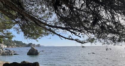 Meerblick-Wohnung 300 m vom Sandstrand entfernt Brusc