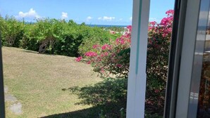 A view from inside a building, looking out to a grassy area with pink flowers and a clear blue sky.
