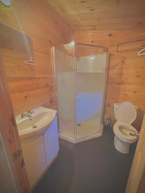 Shower, soap, toilet paper