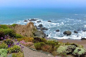 A coastal landscape with rocky terrain and vegetation.