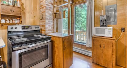 Two-Story Cabin with Wood Fireplace, Deck, Gas Grill & Washer Dryer