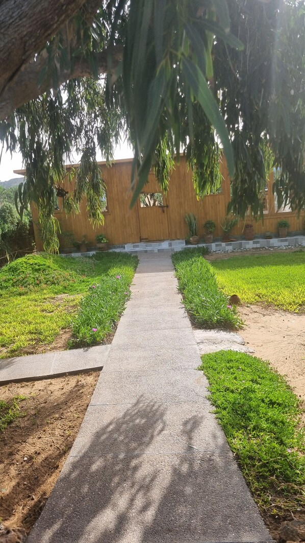 A paved pathway leading to a wooden fence with a window, surrounded by green grass and plants.