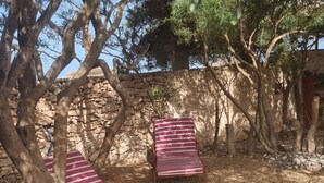 A garden area with two striped lounge chairs under trees, a stone wall, and a paved path. - A soothing guest house set in nature and on the beach of the Atlantic coast (Essaouira)