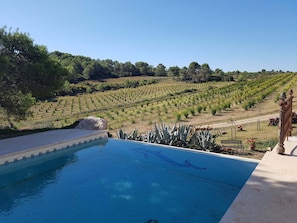 Outdoor pool - Renovated farmhouse in the heart of nature, ideal for a peaceful vacation (Cessenon-sur-Orb)