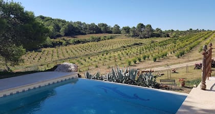 Renovated farmhouse in the heart of nature, ideal for a peaceful vacation
