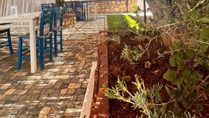فطور أوروبي مجانًا يوميًا