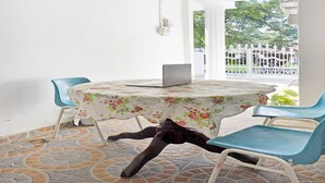 A round table with a floral tablecloth, two blue chairs, and a laptop on the table. - OYO 91314 Zein House (Batam)