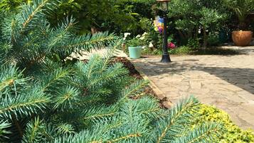 DĂ©tail de lâextĂ©rieur