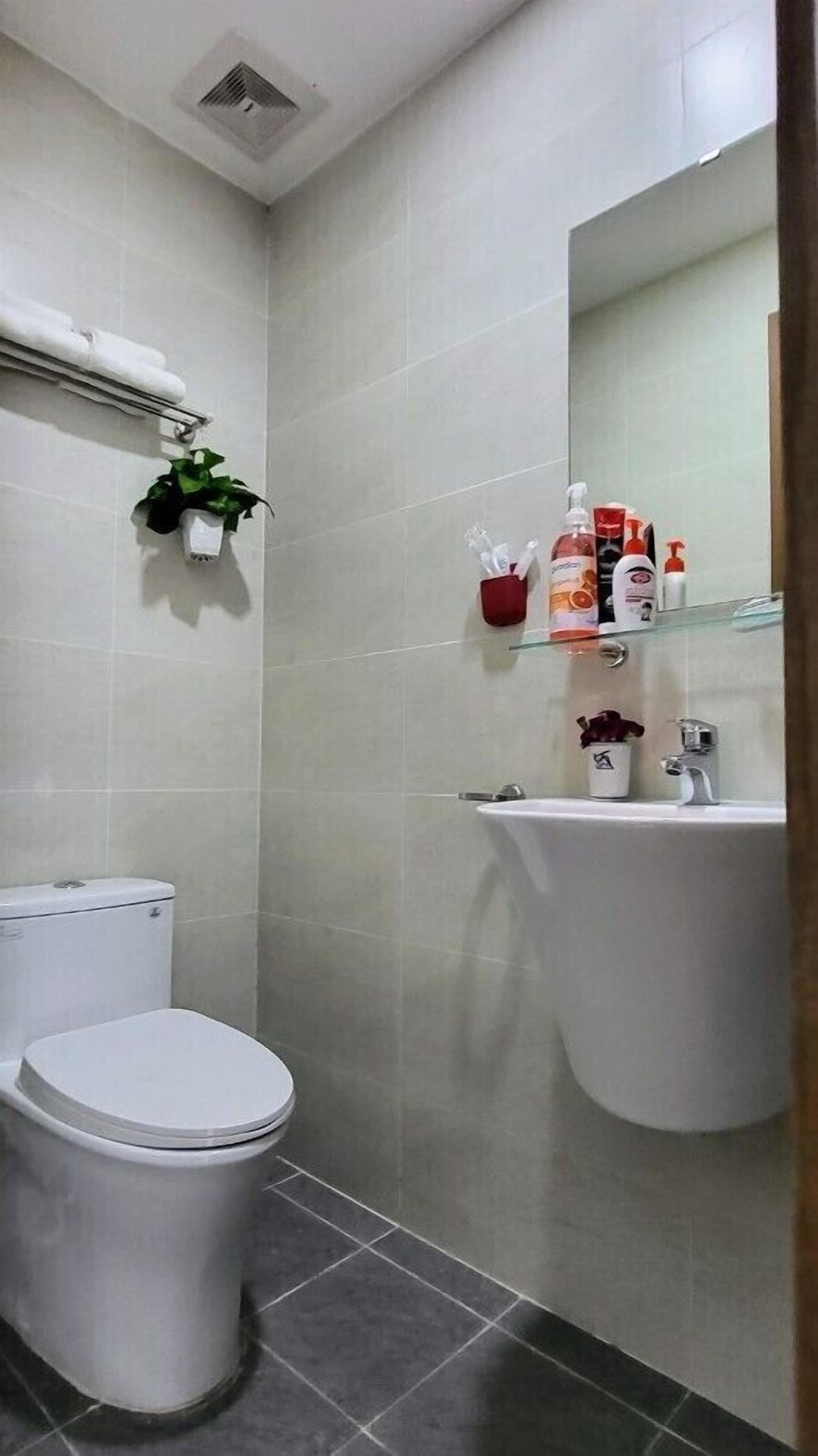 A small, modern bathroom with a toilet, sink, and mirror. There is a towel rack with a plant, and toiletries on the sink.