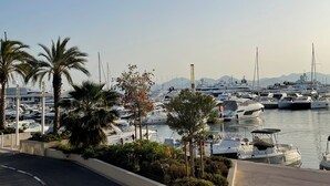 Un port esportiu amb nombrosos velers amarrats, envoltat de palmeres i vegetació.