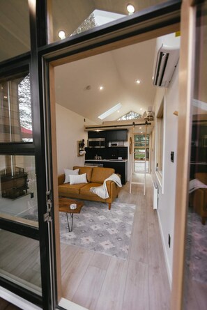 Smart TV y chimenea